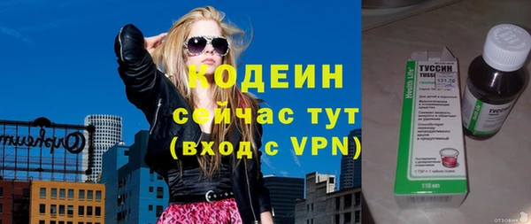 ПСИЛОЦИБИНОВЫЕ ГРИБЫ Каменка
