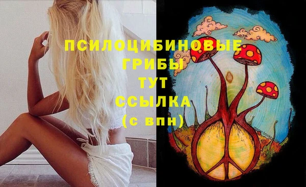 соль ск Каменск-Шахтинский