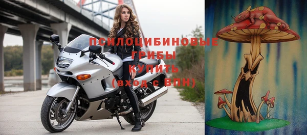 ПСИЛОЦИБИНОВЫЕ ГРИБЫ Каменка
