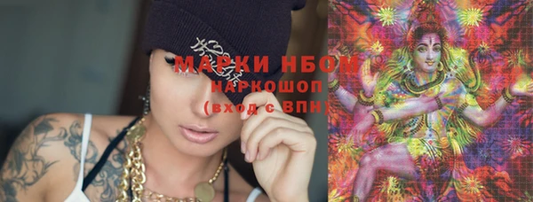 ПСИЛОЦИБИНОВЫЕ ГРИБЫ Каменка